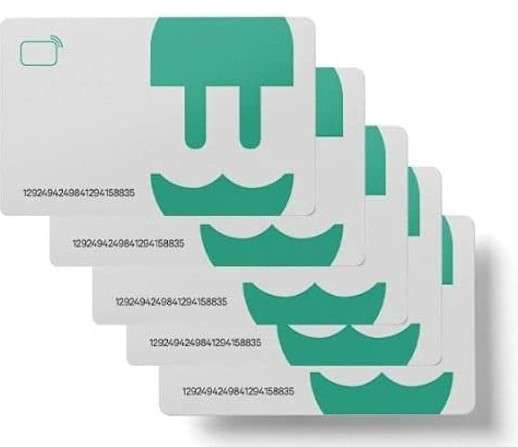 Pacco da 10 schede RFID per caricatore per auto elettriche WallBox con riferimento 000000663 del marchio WALLBOX