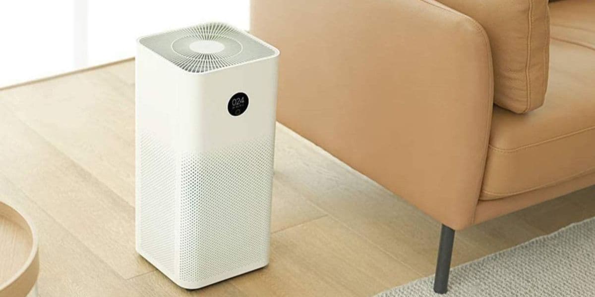 What is an air purifier used for
