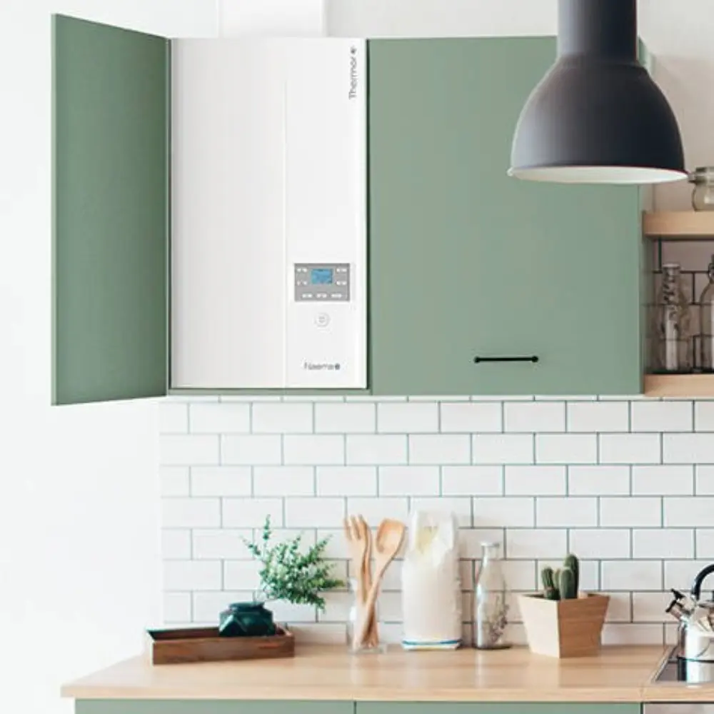 Caldaia a gas naturale NAEMA AI MICRO 30 con riferimento 750064 del marchio THERMOR